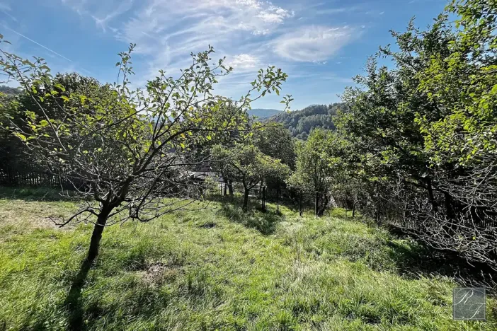 Prodej rodinného domu, Děčín, Včelná, 120 m2