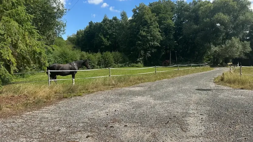 Prodej ubytování, Bílé Poličany, 1000 m2