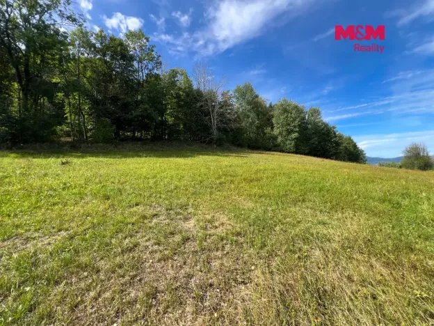 Prodej pozemku pro bydlení, Záblatí - Albrechtovice, 5047 m2