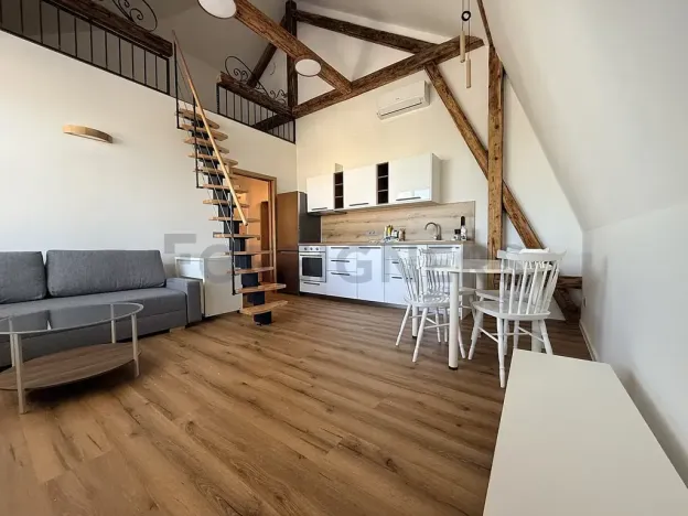 Pronájem bytu 2+kk, Brno, Wurmova, 55 m2