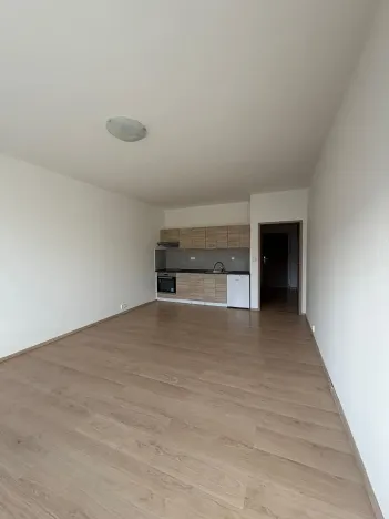 Pronájem bytu 1+kk, Liberec, Jeronýmova, 36 m2