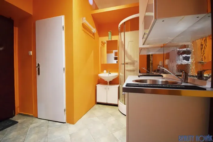 Pronájem bytu 1+kk, Praha - Žižkov, Blodkova, 20 m2