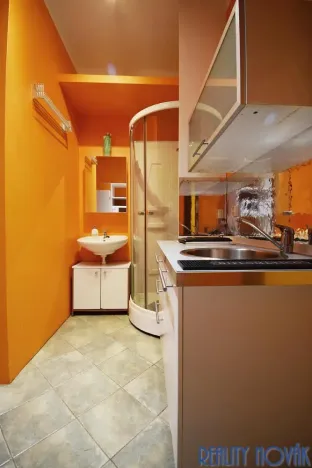 Pronájem bytu 1+kk, Praha - Žižkov, Blodkova, 20 m2