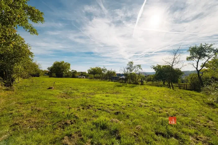 Prodej pozemku, Pňovany, 1312 m2