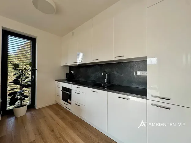 Pronájem bytu 3+kk, Brno, Rybnická, 62 m2