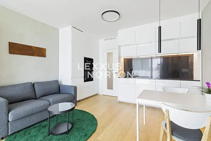 Pronájem bytu 1+kk, Praha - Michle, Hodonínská, 32 m2