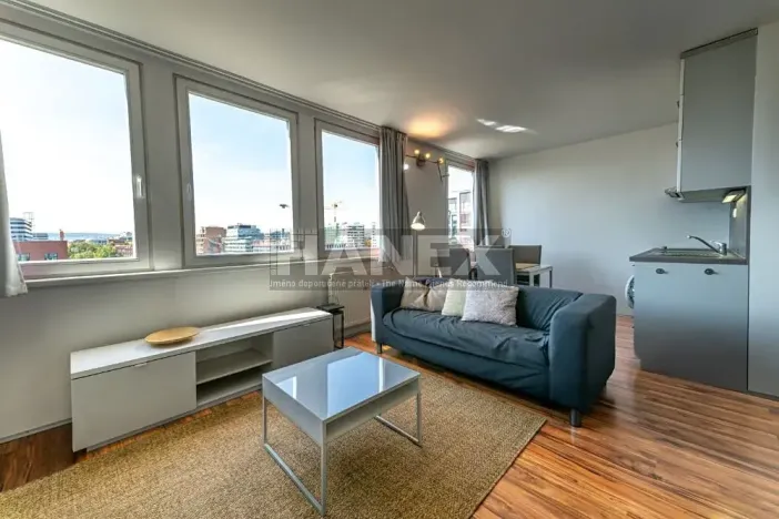 Pronájem bytu 1+kk, Praha - Karlín, Molákova, 36 m2