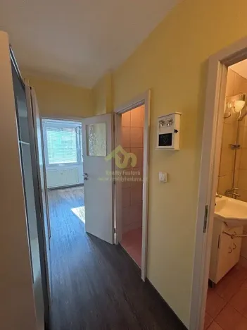 Pronájem bytu 1+1, Plzeň, Břeclavská, 39 m2