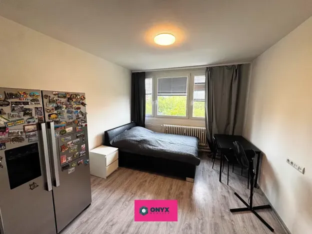 Prodej bytu 1+kk, Brno, Halasovo náměstí, 24 m2