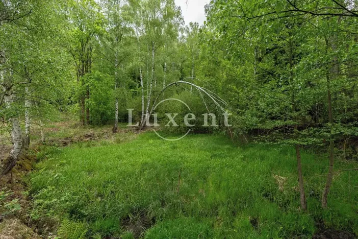 Prodej pozemku pro bydlení, Lipnice nad Sázavou, 38008 m2