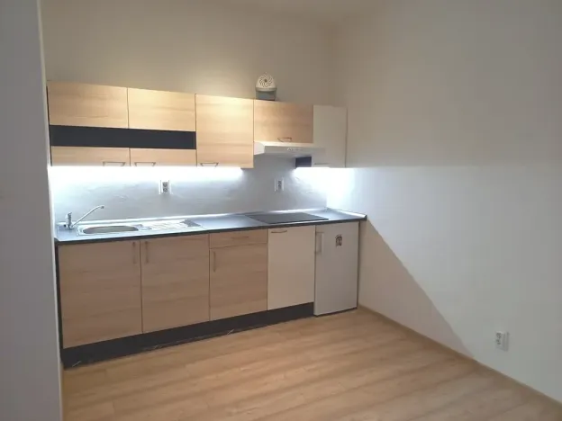 Pronájem bytu 1+kk, Brno, Vlhká, 23 m2