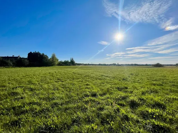Prodej komerčního pozemku, Horka I, 3923 m2