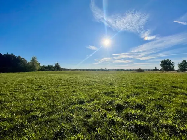 Prodej komerčního pozemku, Horka I, 3923 m2