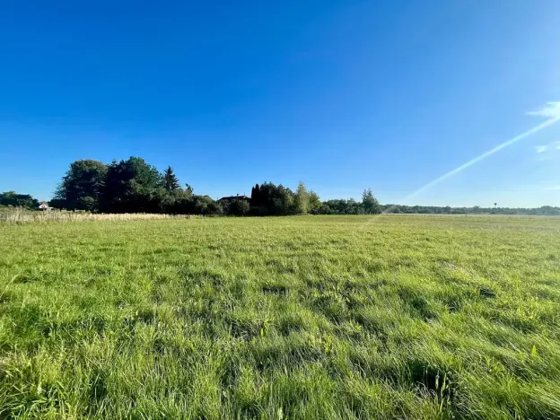 Prodej komerčního pozemku, Horka I, 3923 m2