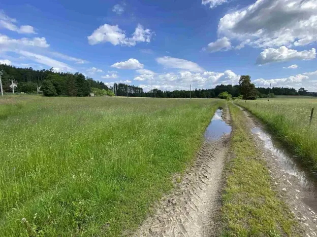 Prodej pozemku, Planá - Pavlovice, 1400 m2