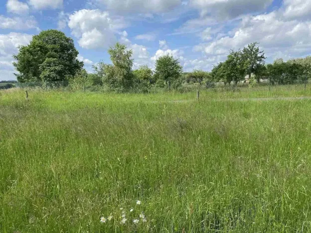 Prodej pozemku, Planá - Pavlovice, 1400 m2