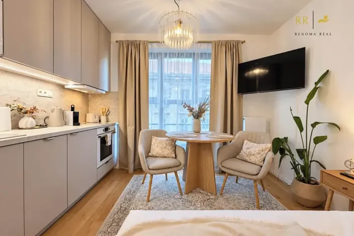 Pronájem bytu 1+kk, Brno, Bratislavská, 25 m2