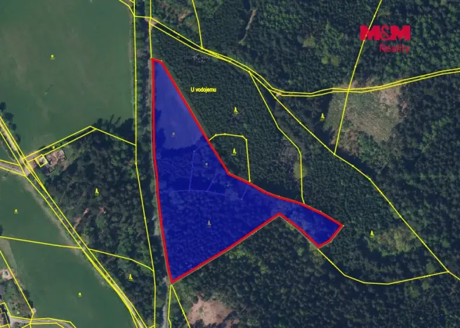Prodej lesa, Červený Kostelec - Bohdašín, 15881 m2