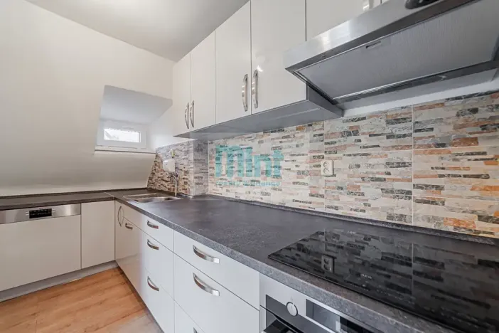 Prodej rodinného domu, Ostrava, Knejzlíkova, 250 m2