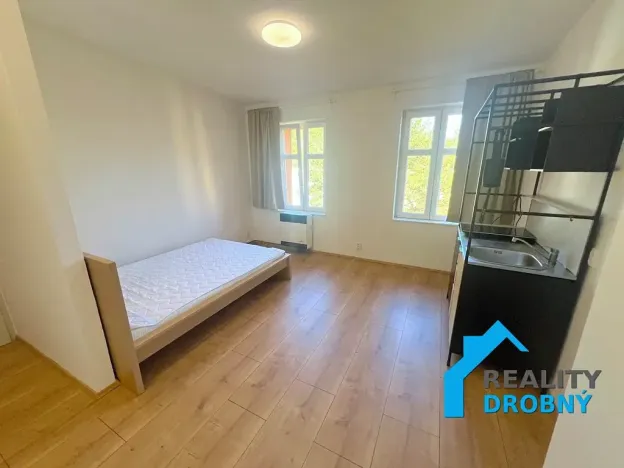 Pronájem bytu 1+kk, Děčín, Nerudova, 20 m2