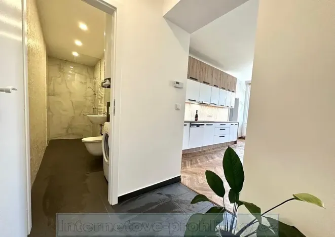 Pronájem bytu 2+kk, Praha - Žižkov, 79 m2
