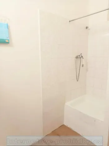 Pronájem bytu 2+kk, Praha - Vinohrady, 44 m2
