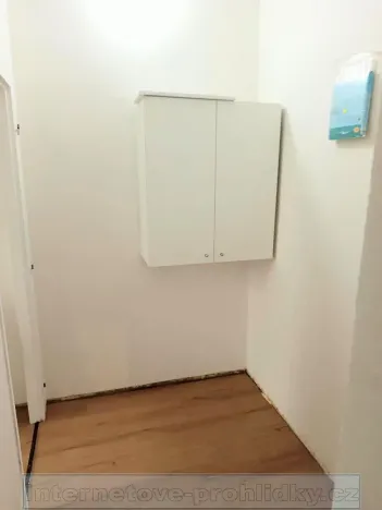 Pronájem bytu 2+kk, Praha - Vinohrady, 44 m2