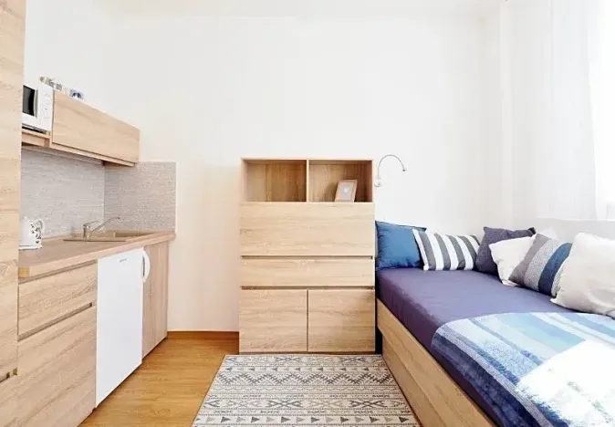 Prodej bytu 1+kk, Brno, Cejl, 17 m2