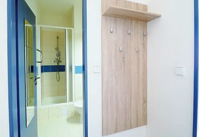 Prodej bytu 1+kk, Brno, Cejl, 17 m2