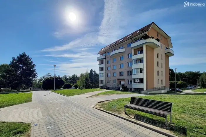 Prodej bytu 3+1, Brno, Pavlovská, 73 m2