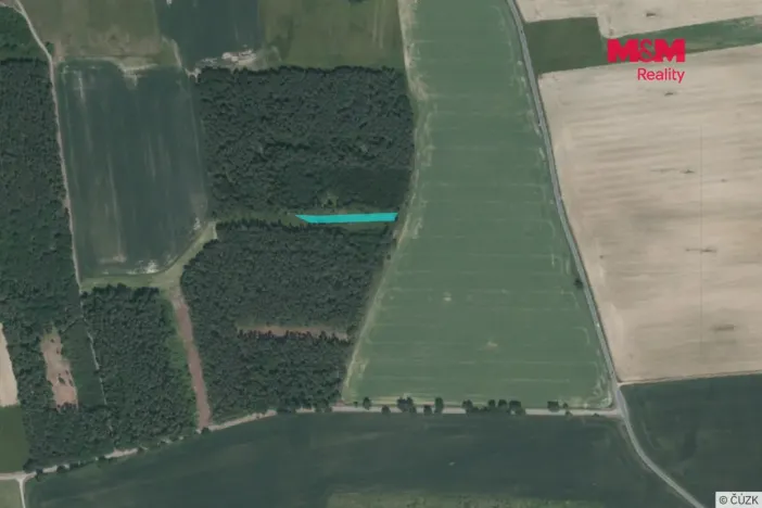 Prodej lesa, Slabčice - Nemějice, 1272 m2