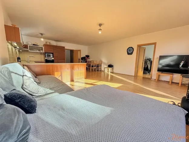 Pronájem bytu 2+kk, Praha - Břevnov, Šlikova, 78 m2
