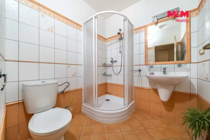 Prodej obchodního prostoru, Chudenín - Uhliště, 203 m2