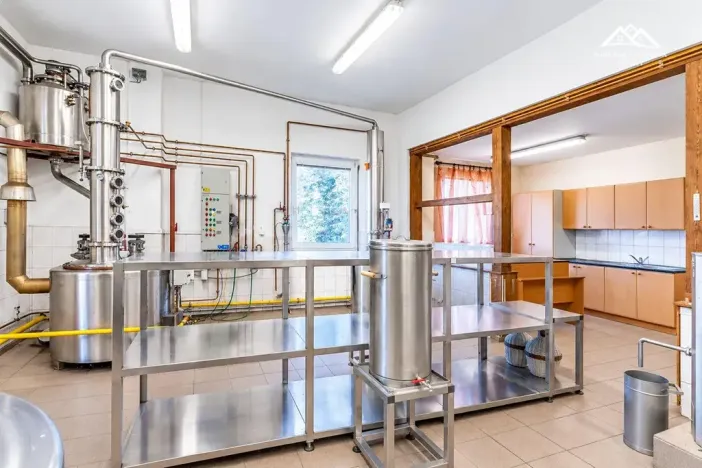 Pronájem výrobních prostor, Nová Ves u Chotěboře, 266 m2
