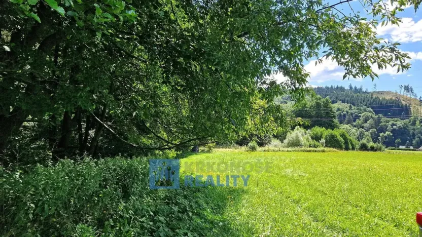 Prodej lesa, Trutnov - Babí, 44299 m2