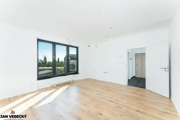 Prodej bytu 1+kk, Plzeň, Železná, 38 m2