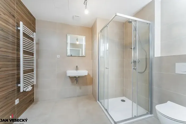 Prodej bytu 1+kk, Plzeň, Železná, 38 m2