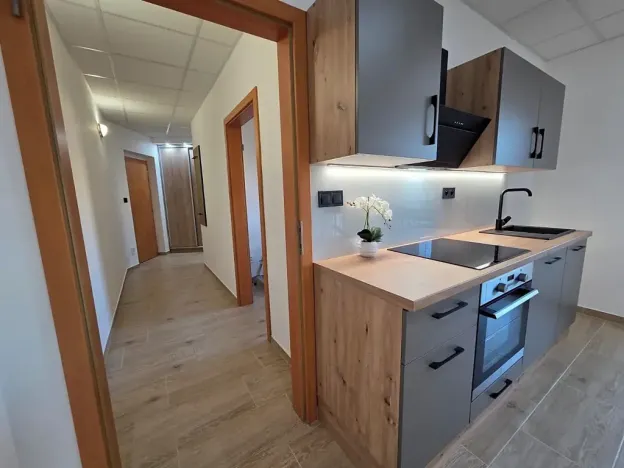 Pronájem bytu 2+kk, Prostějov, Vodní, 45 m2