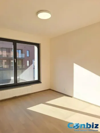 Pronájem bytu 2+kk, Praha - Karlín, Švarcova, 54 m2
