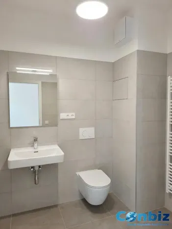 Pronájem bytu 2+kk, Praha - Karlín, Švarcova, 54 m2