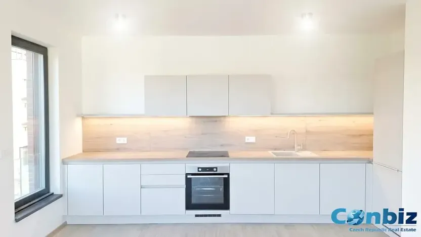 Pronájem bytu 3+kk, Praha - Karlín, Švarcova, 75 m2