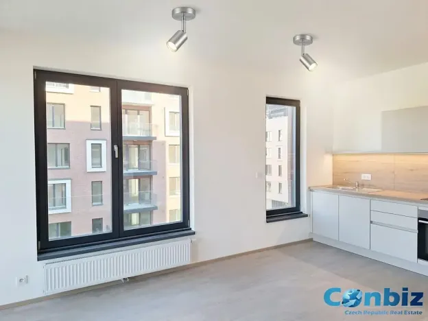 Pronájem bytu 3+kk, Praha - Karlín, Švarcova, 75 m2