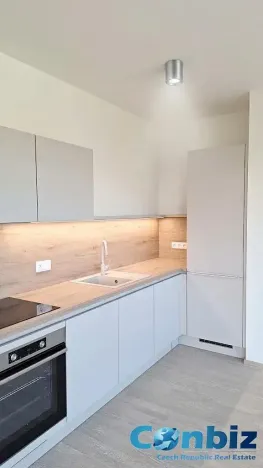 Pronájem bytu 3+kk, Praha - Karlín, Švarcova, 75 m2