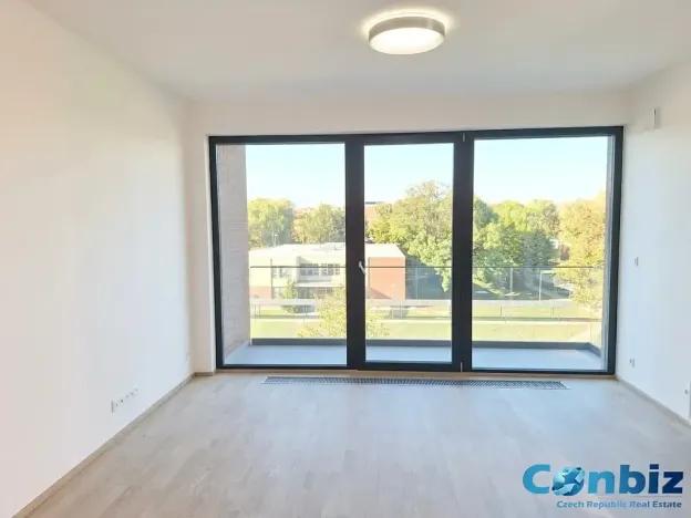 Pronájem bytu 3+kk, Praha - Karlín, Švarcova, 75 m2