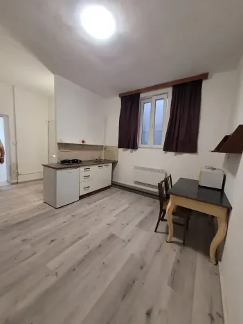 Pronájem bytu 1+1, Brno, Palackého třída, 43 m2