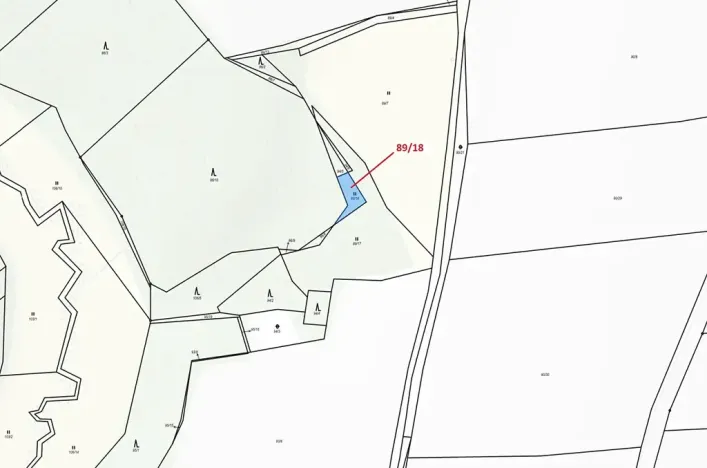 Dražba louky, Žižkovo Pole, 212 m2