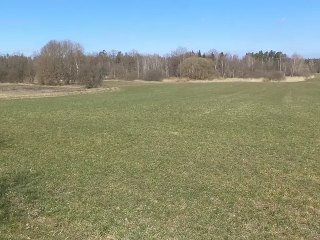 Dražba pole, Stříbřec, 5200 m2
