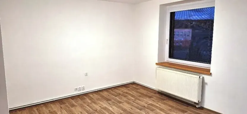 Pronájem bytu 1+1, Nový Jičín, Riegrova, 49 m2