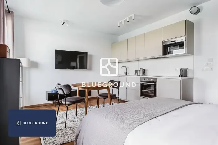 Pronájem bytu 1+kk, Praha - Žižkov, Olgy Havlové, 32 m2
