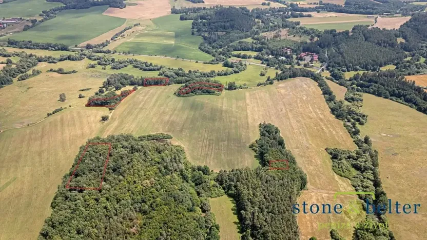 Prodej lesa, Zvěstov, 45954 m2